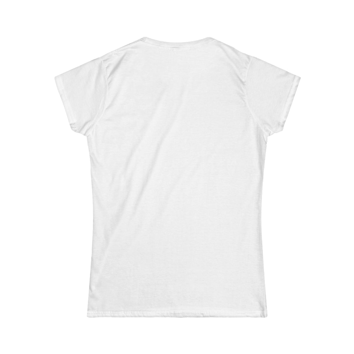 I have a Plan/Bad plan  Softstyle Tee